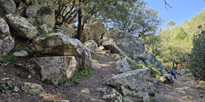 עין אלון בפארק הכרמל