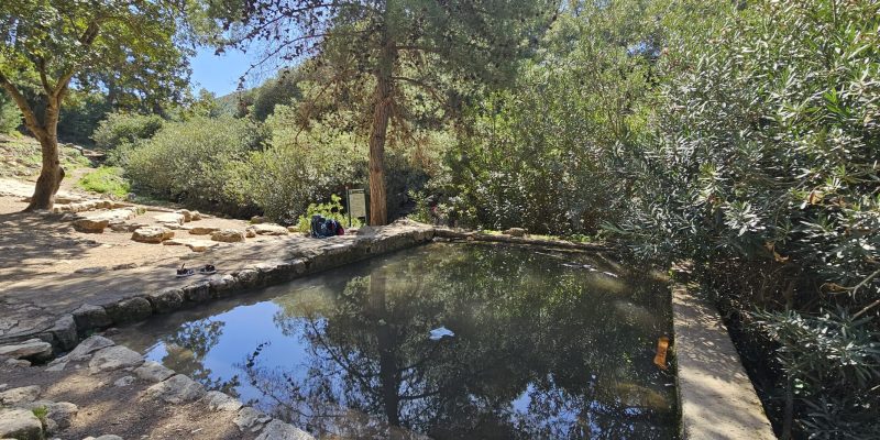 עין אלון בפארק הכרמל