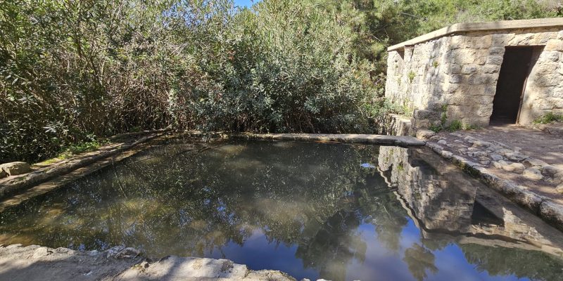 עין אלון בפארק הכרמל