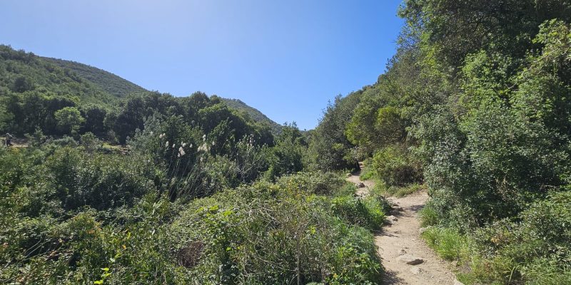 עין אלון בפארק הכרמל