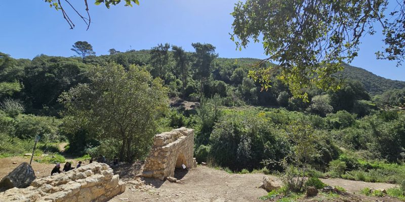 עין אלון בפארק הכרמל