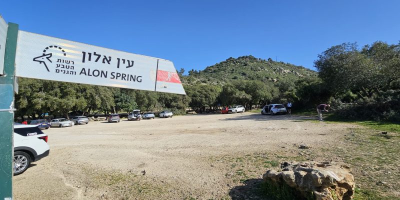 עין אלון בפארק הכרמל