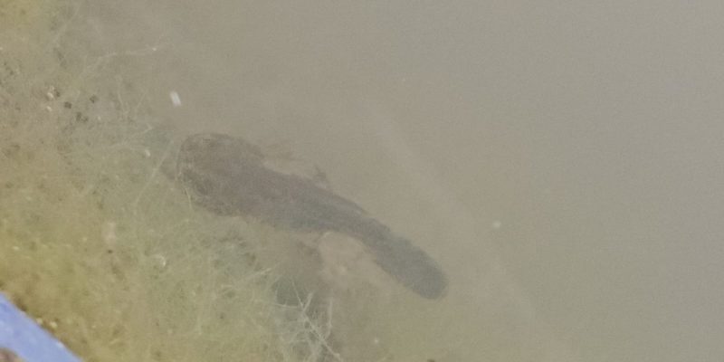 נחל חיק אל מחצבות קדומים פארק הכרמל