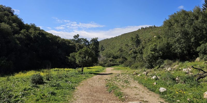 נחל חיק אל מחצבות קדומים פארק הכרמל