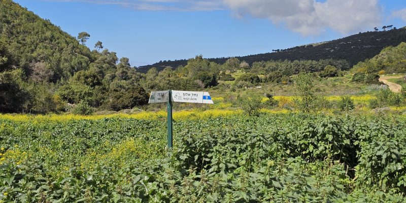 נחל חיק אל מחצבות קדומים פארק הכרמל