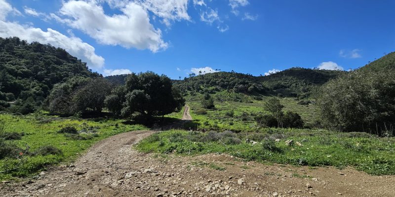 נחל חיק אל מחצבות קדומים פארק הכרמל