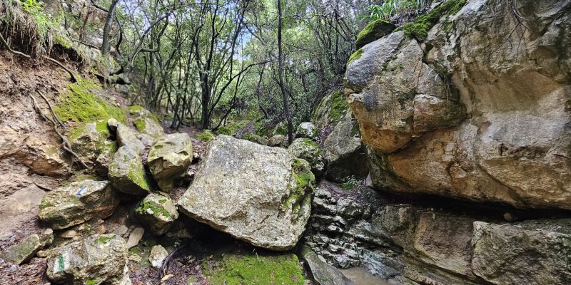 נחל חיק אל מחצבות קדומים פארק הכרמל