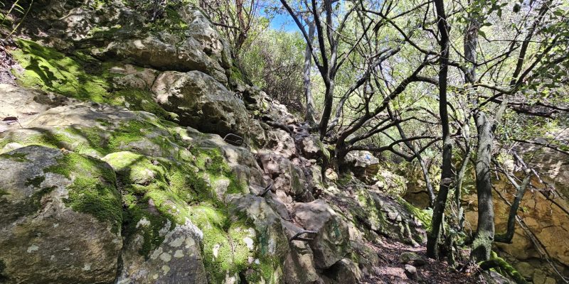 נחל חיק אל מחצבות קדומים פארק הכרמל