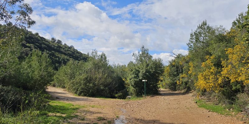 נחל חיק אל מחצבות קדומים פארק הכרמל