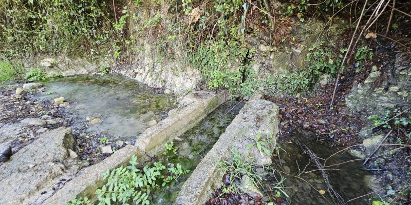 נחל חיק אל מחצבות קדומים פארק הכרמל