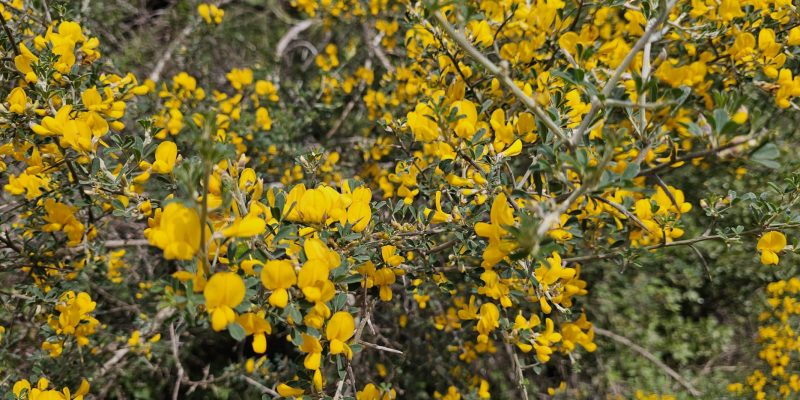 נחל חיק אל מחצבות קדומים פארק הכרמל