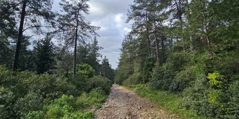 נחל חיק אל מחצבות קדומים פארק הכרמל
