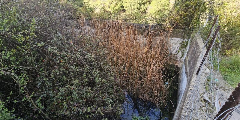 נחל חיק אל מחצבות קדומים פארק הכרמל