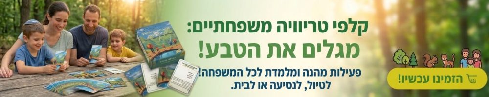 באנר קלפים