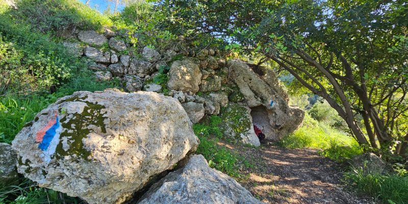 מסלול מעגלי משפחתי ביער עופר