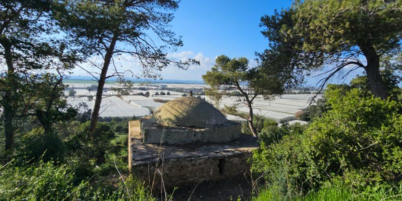 מסלול מעגלי משפחתי ביער עופר