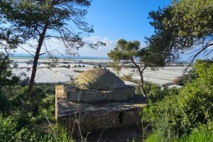 מסלול מעגלי משפחתי ביער עופר