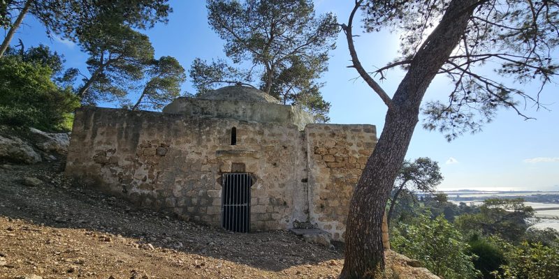 מסלול מעגלי משפחתי ביער עופר