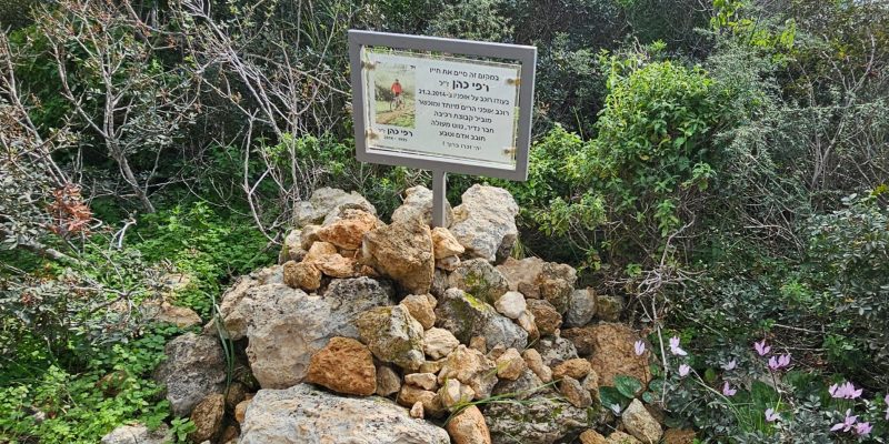 מסלול מעגלי משפחתי ביער עופר