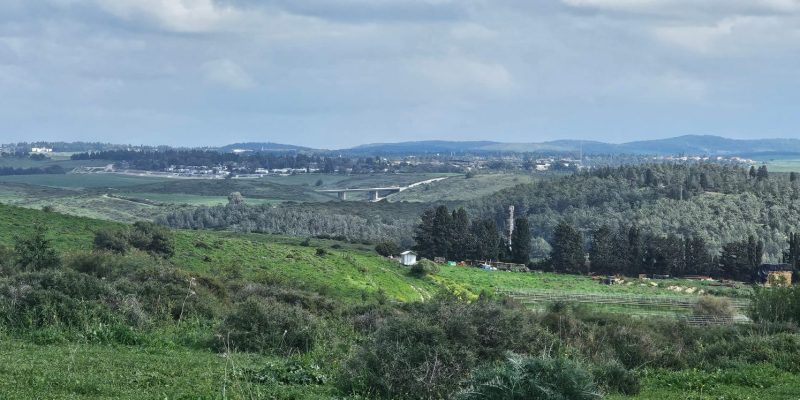 מסלול טיול בין מושב עופר לבת שלמה: יער אלונים, פריחה ונוף
