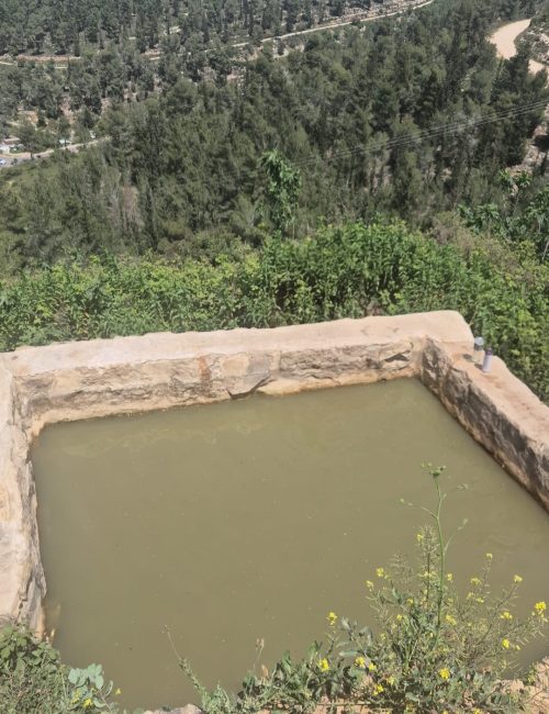 שביל המעיינות
