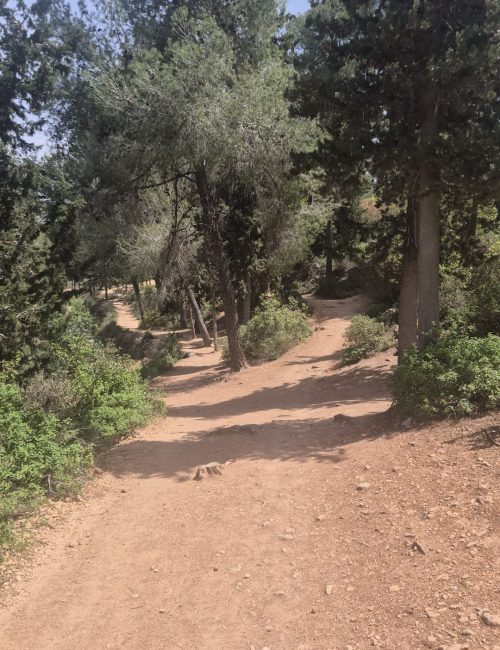 שביל המעיינות
