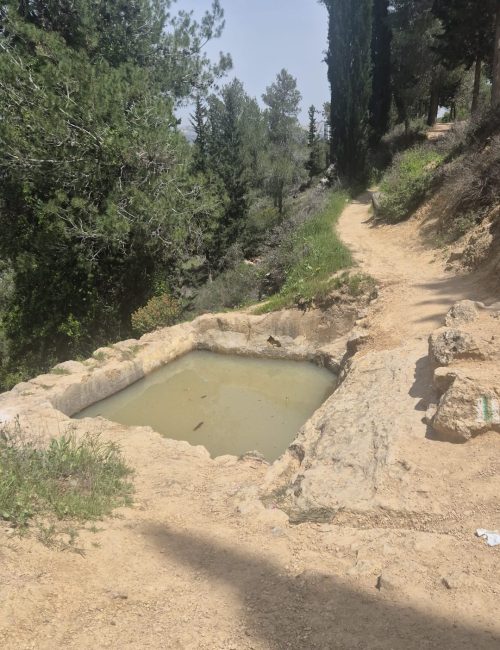 שביל המעיינות