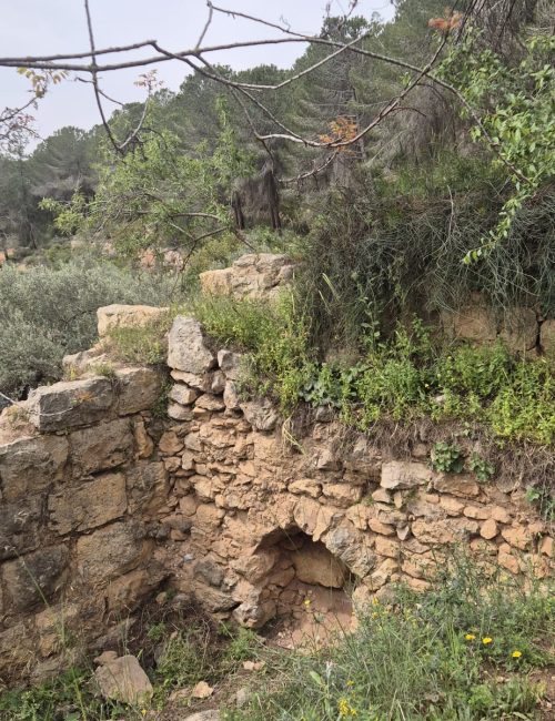 שביל הבעל