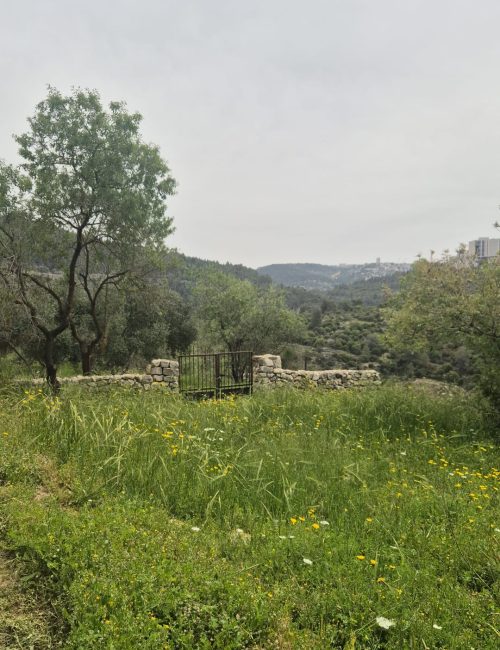 שביל הבעל