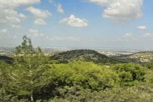 הר כיפה הגלילי: מסלול קצר, פריחה ונוף פתוח