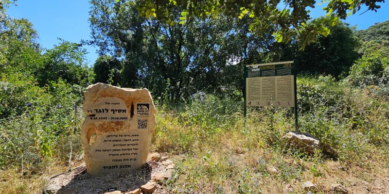 קפה אסיף
