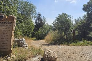שביל עומר בקריית טבעון: מסלול הנצחה מרגש בלב הטבע