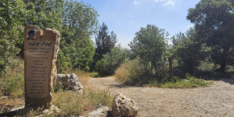 שביל עומר בקריית טבעון: מסלול הנצחה מרגש בלב הטבע