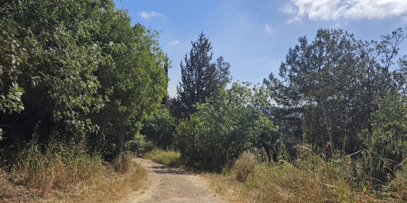 שביל עומר בקריית טבעון: מסלול הנצחה מרגש בלב הטבע