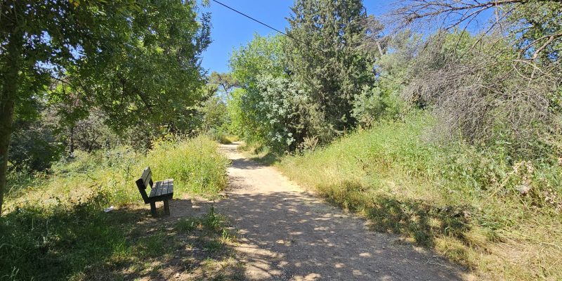שביל עומר בקריית טבעון: מסלול הנצחה מרגש בלב הטבע