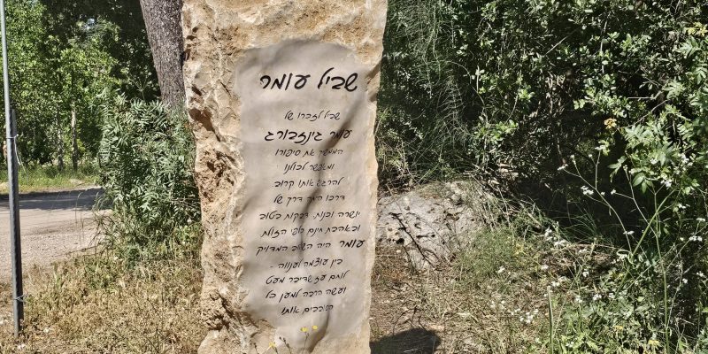 שביל עומר בקריית טבעון: מסלול הנצחה מרגש בלב הטבע