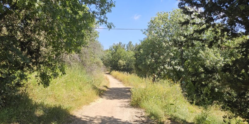 שביל עומר בקריית טבעון: מסלול הנצחה מרגש בלב הטבע