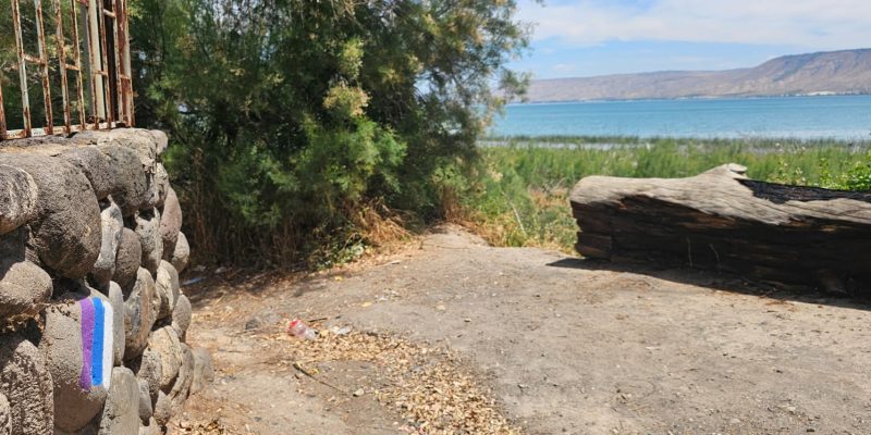 בית הקברות כנרת – אתר מורשת ותיירות בלב ההיסטוריה הציונית