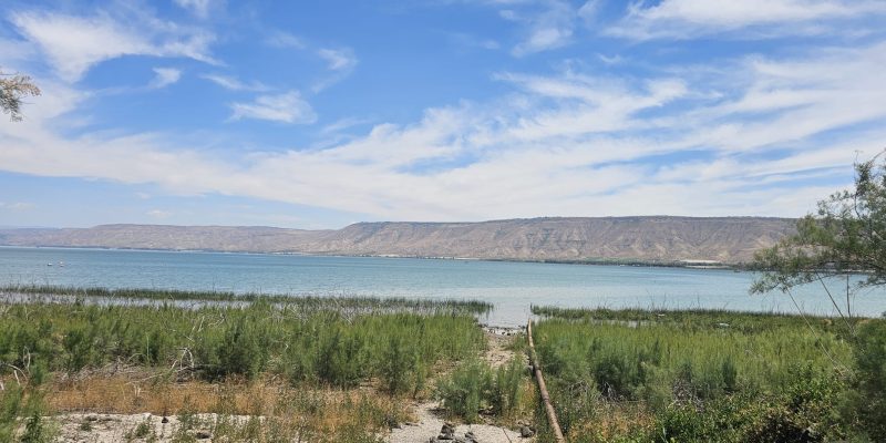 בית הקברות כנרת – אתר מורשת ותיירות בלב ההיסטוריה הציונית
