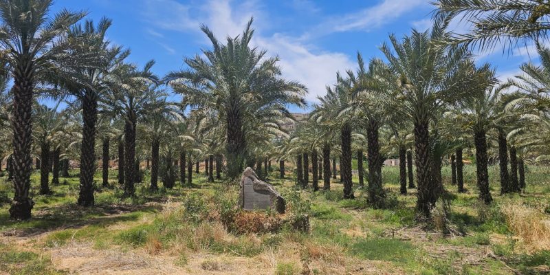 מקטע 9 שביל ישראל - חצר כנרת עד כפר קיש