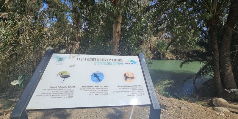 גן מורד ירדן דרומי