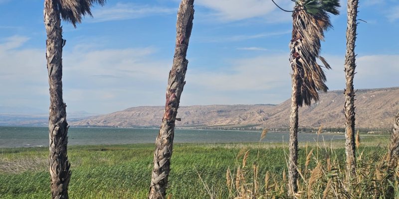 שביל סובב כנרת מקטע 8