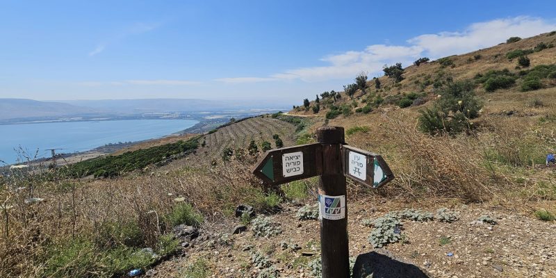 מקטע 8 שביל ישראל מפוריה לחצר כנרת