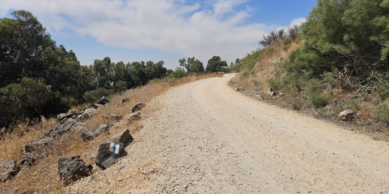 מקטע 8 שביל ישראל מפוריה לחצר כנרת