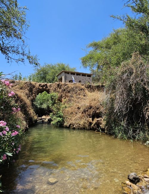 גשר הטרוורטין בנחל צלמון