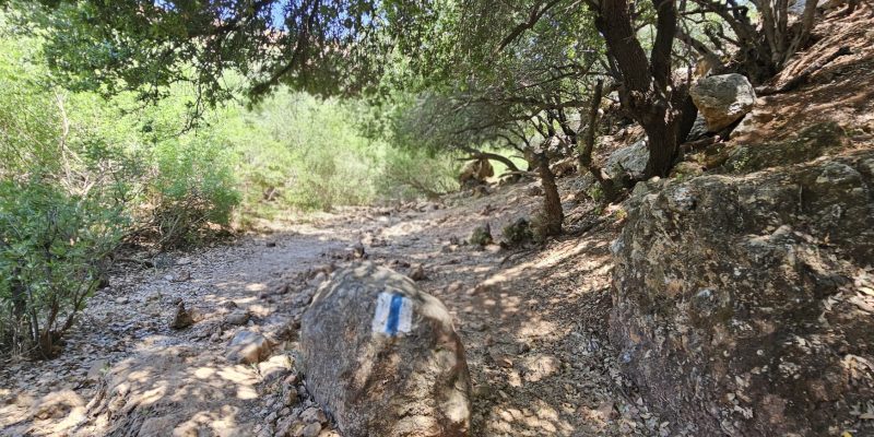 המקטע הראשון של המסלול מוצל ברובו