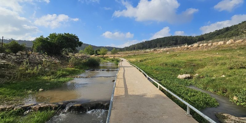 שביל נגיש לאורכו של הנחל
