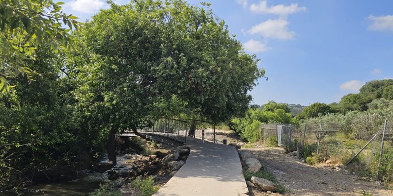 מסלול נגיש כמעט ברובו