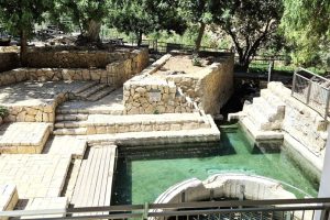 עין מבוע נחל פרת צילום דוד לנדאו, רשות הטבע והגנים