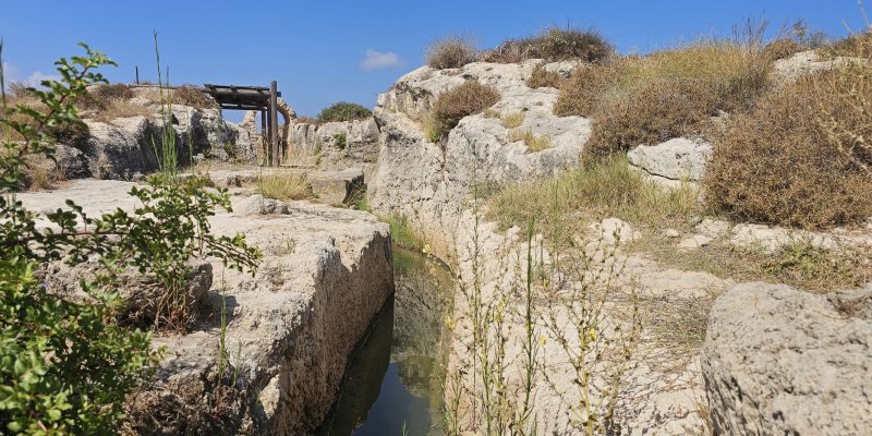 שמורת הטבע נחל תנינים האמה הבלתי גמורה